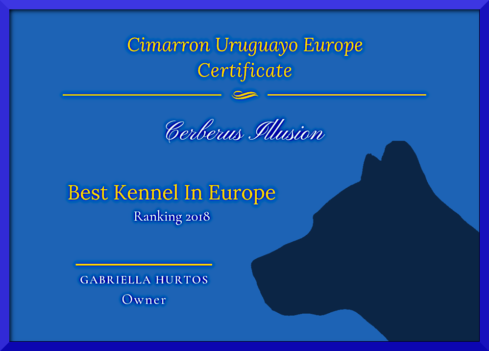 Cerberus Illusion - Best Cimarron Uruguayo Kennel In Europe