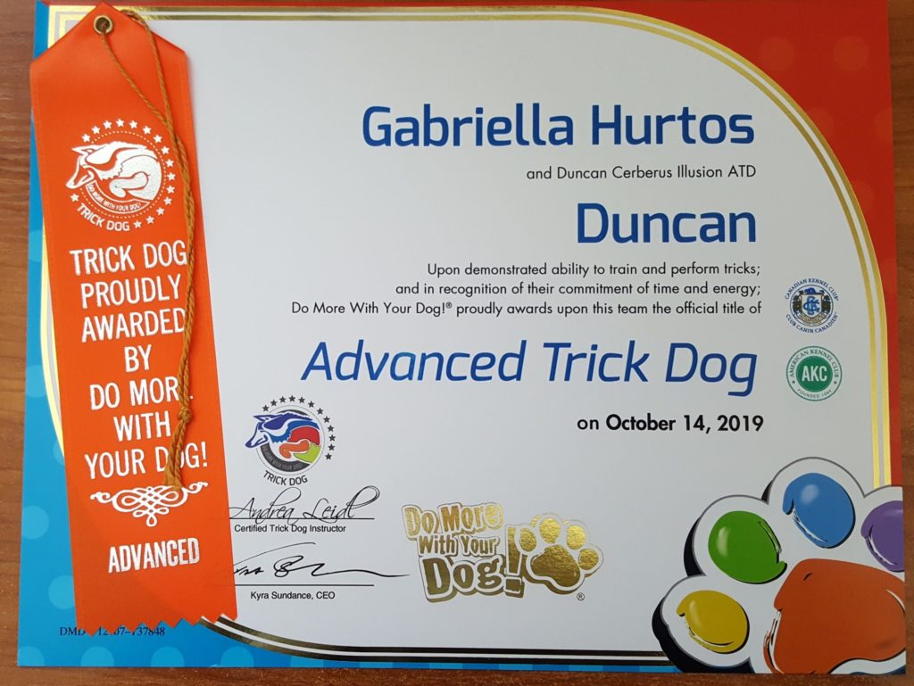 Duncan Cerberus Illusion ITD Advanced Trick Dog