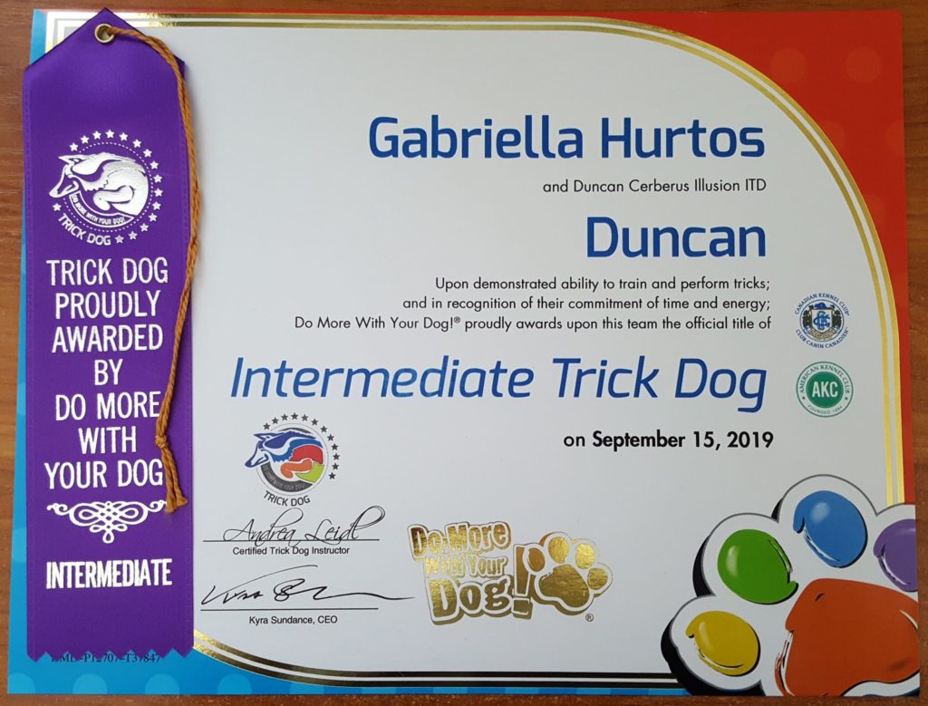 Duncan Cerberus Illusion ITD Intermediate Trick Dog