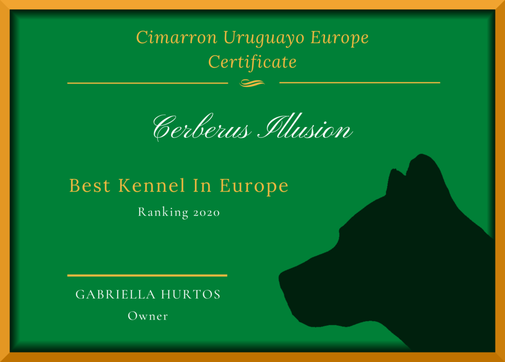 Best Cimarron Uruguayo Kennel In Europe 2020
Uruguajský Cimarron