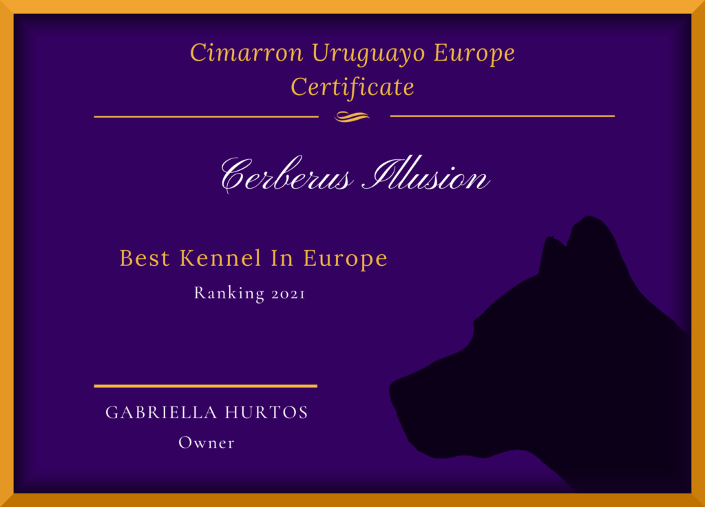 Best Cimarron Uruguayo Kennel In Europe 2021 Uruguajský Cimarron