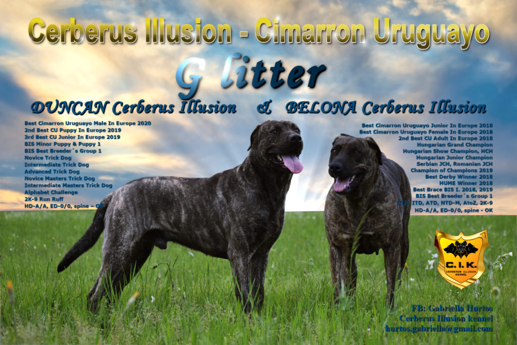 G litter Cerberus Illusion